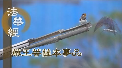 《法華經 藥王菩薩本事品》盡形命力 以身供養 - 第1819集