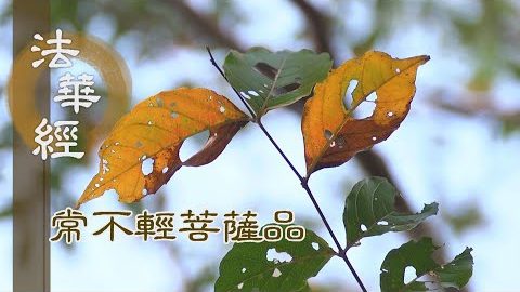 《法華經 常不輕菩薩品》智慧實踐 行德圓滿 - 第1734集