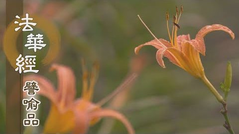 《法華經 譬喻品》修學道法出火宅 - 第561集
