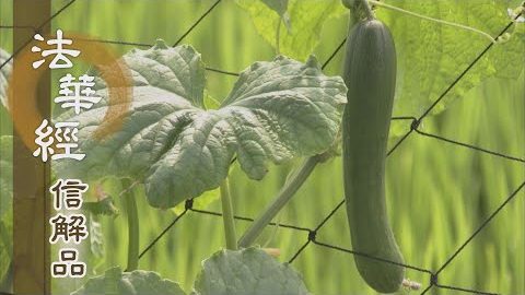 《法華經 信解品》方便智力 降伏虛妄 - 第852集
