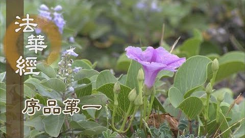 《法華經 序品第一》- 佛心智慧 人人本具 - 第97集