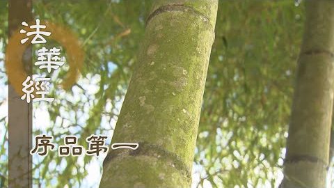 《法華經 序品第一》- 菩薩悲智 應機傳法 - 第79集