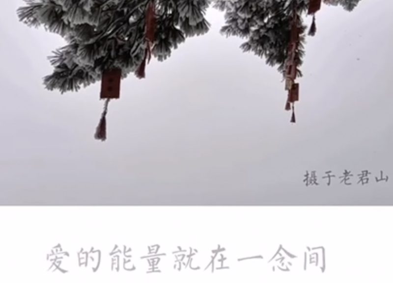 爱的能量在哪里