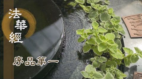 《法華經 序品第一》- 王舍城的由來(三) - 第29集