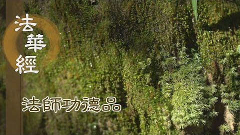 舌根善淨 巧說妙法 - 第1701集