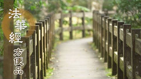 妙法未圓 信力精進 - 第243集