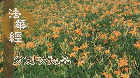 五度為足 智慧為目 - 第1585集