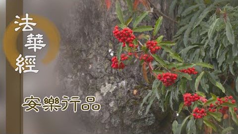 靜慮思惟 謹慎離過 - 第1422集