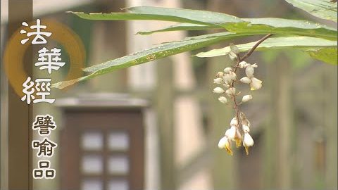 《法華經 譬喻品》五分法身 慧命永恆 - 第578集