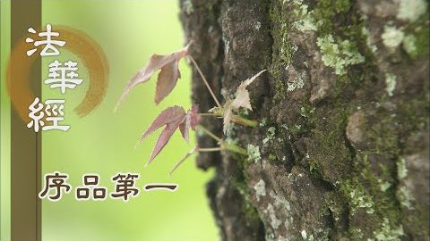 《法華經 序品第一》- 佛佛道同 悲智雙運 - 第131集