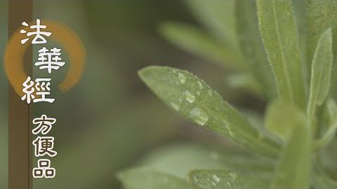 機熟可度契佛心 - 第442集