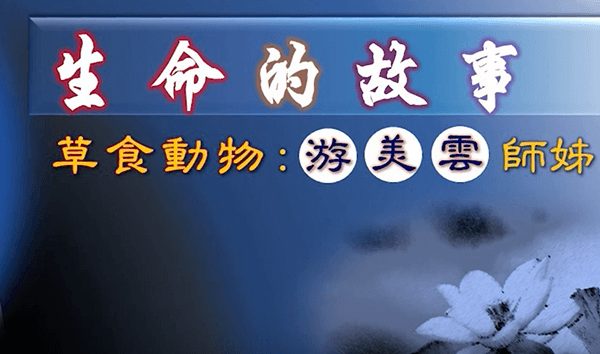 生命的故事-草食動物-游美雲