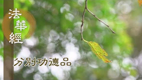心性本淨 諸過染垢 - 第1614集