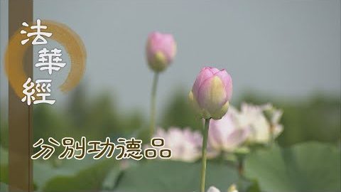 至心誠意 虔敬供養 - 第1567集