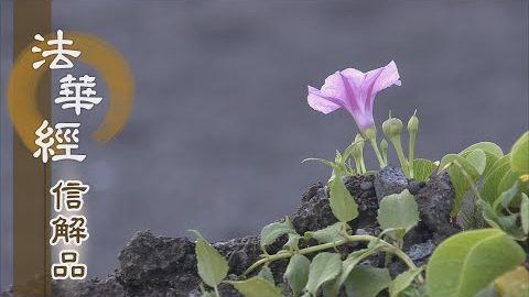 《法華經 信解品》急施大教 小根難信 - 第765集