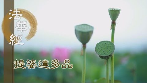 《法華經 提婆達多品》- 正覺廣度 歸功天授 - 第1330集