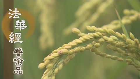 《法華經 譬喻品》柔軟善法入真如 - 第485集