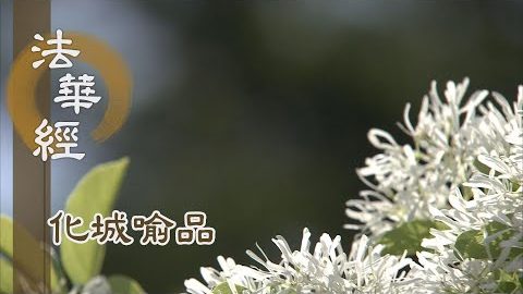 《法華經 化城喻品》 - 澹泊無為 究竟寂滅 - 第996集
