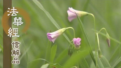 《法華經 信解品》譬如父子相失 - 第814集