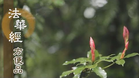 去除煩惱得無漏 - 第222集