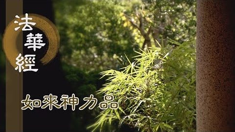 《法華經 如來神力品》 一乘實法藏沙界 - 第1787集