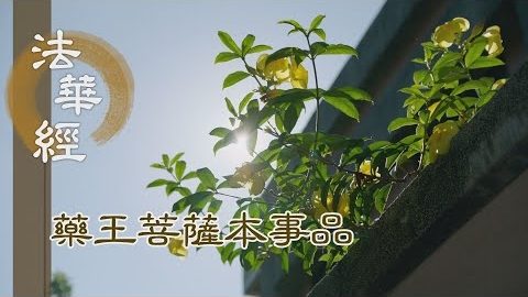 《法華經 藥王菩薩本事品》 荷擔佛法 願度眾生 - 第1833集