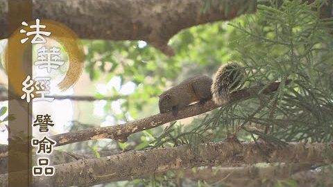《法華經 譬喻品》恆求善事 利益一切 - 第584集
