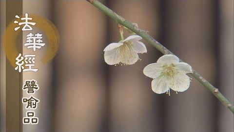 《法華經 譬喻品》萬法唯心惑業轉 - 第624集