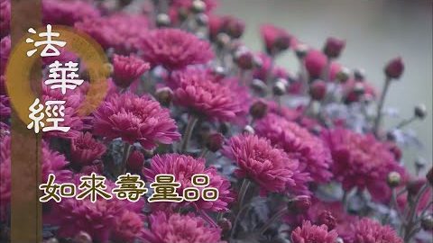三身無礙 本跡圓融 - 第1513集