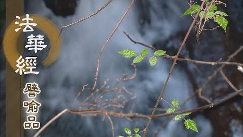 《法華經 譬喻品》惡來善往 信受是語 - 第676集