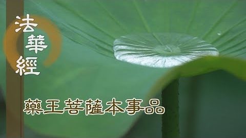 《法華經 藥王菩薩本事品》心通淨明 根淨無染 - 第1864集