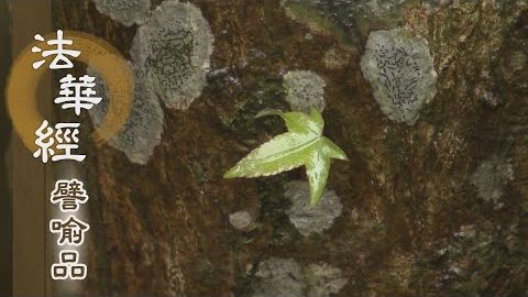 《法華經 譬喻品》勤修精進 無上覺道 - 第598集