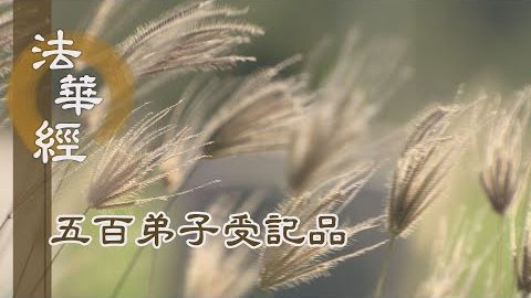 《法華經 五百弟子受記品》- 思惟修定會妙法 - 第1158集