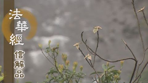 《法華經 信解品》勿執井蛙之見 - 第803集