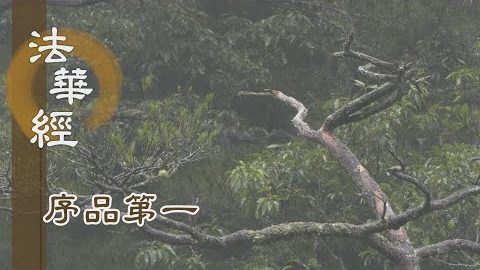 讚佛相好度眾生 - 第158集