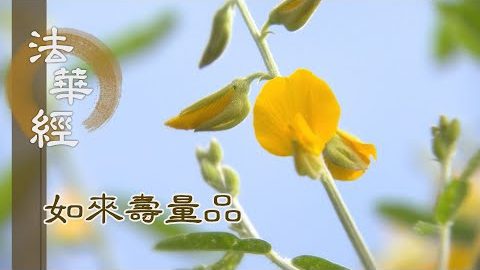 子聞父喪 方受法藥 - 第1542集