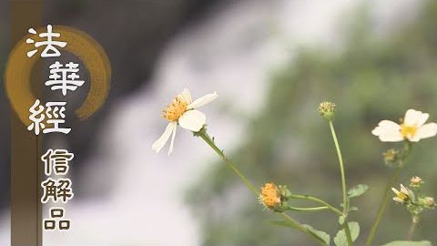 《法華經 信解品》修學大乘 菩提覺道 - 第841集