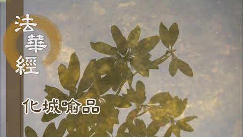 《法華經 化城喻品》 - 信受根深得遇佛 - 第1060集