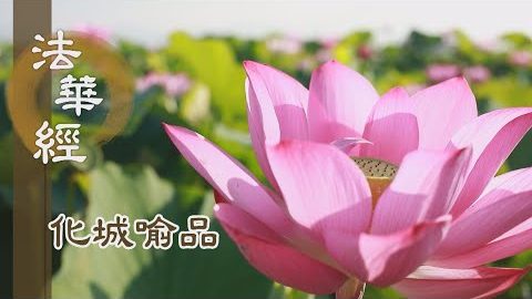 《法華經 化城喻品》 - 三智一心 周遍無礙 - 第987集