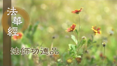 以清淨根 照清淨境 - 第1725集