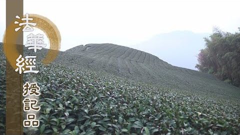 《法華經 授記品》 - 破惑證真 得大智慧 - 第967集