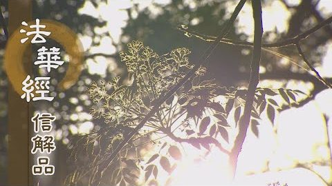《法華經 信解品》勤受教化 報佛之恩 - 第851集