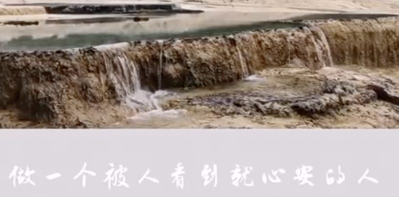 生命价值