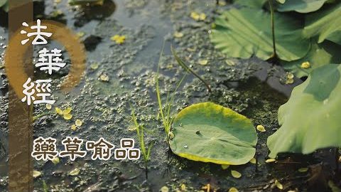 《法華經 藥草喻品》 - 修功立德 滋潤福利 - 第881集