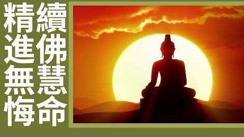 20260801精進無悔 ‧ 慧命留芳｜生命故事｜用愛造福 成就淨土