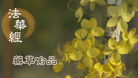 《法華經 藥草喻品》 - 開示演說出世之道 - 第906集