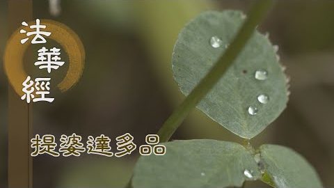 《法華經 提婆達多品》- 龍女成佛 二賢信受 - 第1359集
