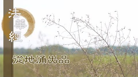 調禦諸惡 人間合和 - 第1464集