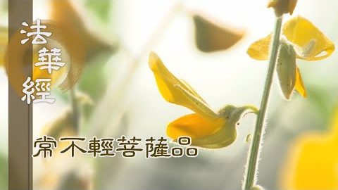 《法華經 常不輕菩薩品》善入人群 行持修學 - 第1727集