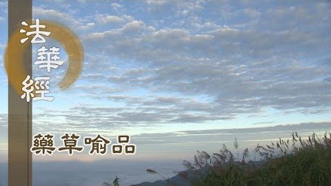 《法華經 藥草喻品》 - 平等法雨 終無懈倦 - 第912集
